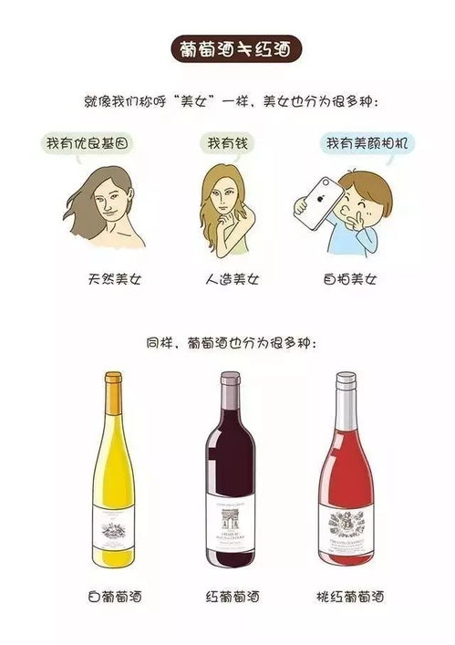 紅酒和葡萄酒是一樣的嗎,有什么區(qū)別